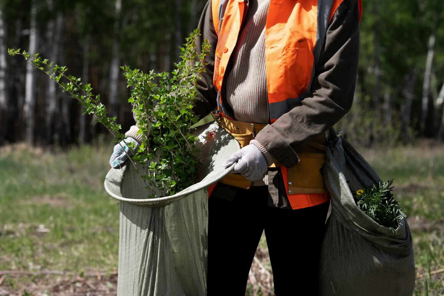 Best Stump Grinding Near Me  in Edgewood, FL